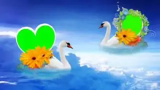 Wedding swan background frame effect   shaadi ka background frame effect
