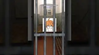 Мейнеры Тартальи be like: 