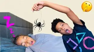 HE scared TIANA with a HUGE SPIDER!!!Pt. 1 | Prank | The Nev Fam
