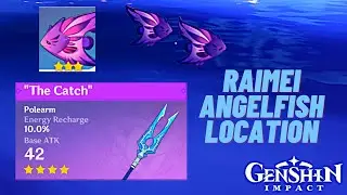 Raimei Angelfish Location (The Catch 4-Star Polearm Exchange Fish) | Genshin Impact 2.1