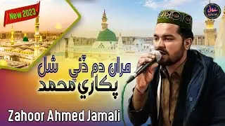 Maran dam dahe shal pukary muhammed || new sindhi naat || sindhi naat shareef  || new 2023 naats
