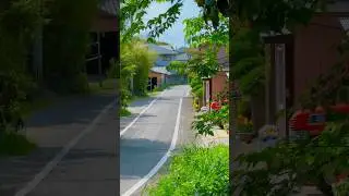 Comfortable warmth 暖かさが心地いい #shorts #日本の風景#風景#日本#japan#nature#田舎暮らし #travel #Comfortable #warmth