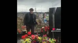 Юра Хой ВОСКРЕС😽😽👍😽👍😹👍🐱👍😽