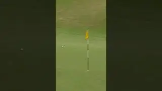 One For The Highlight Reel From Cameron Young 🎞 
