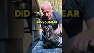 Remembering when Sweet RUBY THE ROTTWEILER Fell in Love with her Animal Chiropractor! 🥰🐶