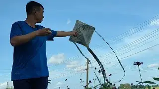 Thả diều bay cao hết dây bằng giấy báo và nan tre | How to make a kite from newspaper