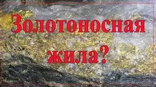 Золотоносная жила?