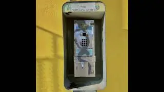bulldog eyes - payphone