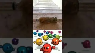 Тутутутут 