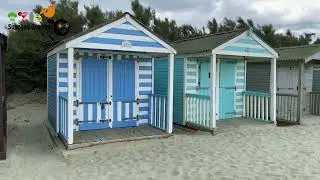 West Wittering Beach || Picnic 2024 || Seaside day out ||