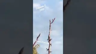 Красиво летит )