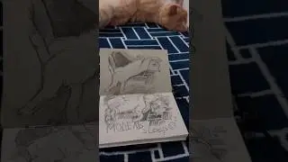 натура это хорошо.. натура это правильно..#art #drawing #cat