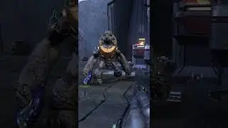 Rarest Grunt Animation in Halo Infinite