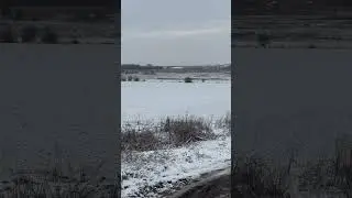 Фазаний рай🔥