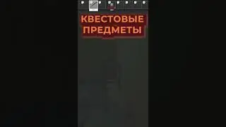 ЛЕС - ЛУЧШАЯ КАРТА ДЛЯ НОВИЧКА В ТАРКОВЕ 