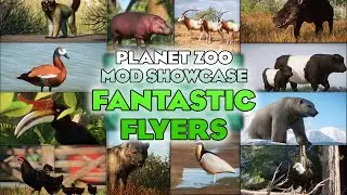 🦅 FANTASTIC FLYERS! | Planet Zoo Mod Showcase