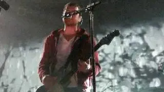 Daisy-Brand New