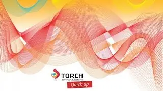 Torch Browser Full Review