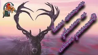 Женщины с сайтов знакомств: нужно ли вам это? МД