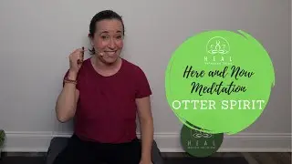 Here and Now Meditation - Otter Spirit