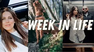 GYM TRIP! |  HALO GYM REVIEW 😇 |  MY NEW THERAPY 🌼 |  #ZUMIKAVLOGS