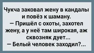 Как Чукча Жену в Кандалы Заковал! Сборник Свежих Анекдотов! Юмор!