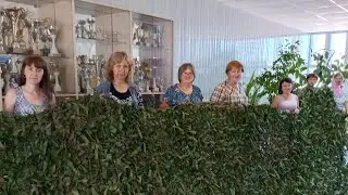 Сеть