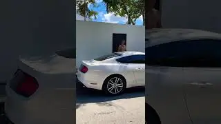 Mustang and Big man