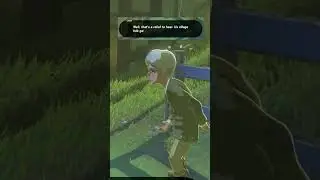 NPCs react to blue flame in The Legend of Zelda: Breath of the Wild - 