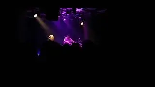 thylacine livee