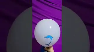 DOLPHIN BALLOON INFLATION AND DEFLATION!!!