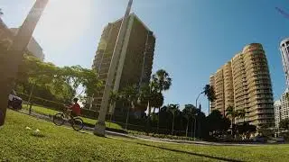 Strolling through the park