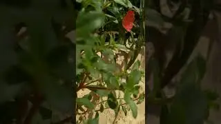 Subscribe For More Photography Videos 