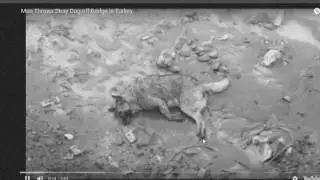 Baby Thrown Over Cliff OMG!!!