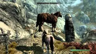 [PC] Skyrim: Horse Stacking? :O