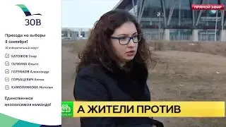 Ольга Галкина Пассажирский порт в Петербурге превращают в грузо-пассажирский