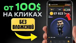 Как прокачаться БЫСТРЕЕ в Hamster Kombat? Пошаговая инструкция+обзор