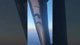 Unexpected passenger #boeing #aviation #bug