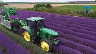 Самые Невероятные Технологии сбора Урожая в Мире