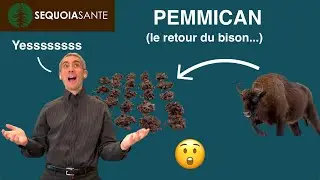 Pemmican : la recette naturelle et facile de Séquoia Santé