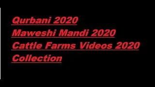 Parizaad from fine cattle farm 2020 Collection MASHA ALLAH