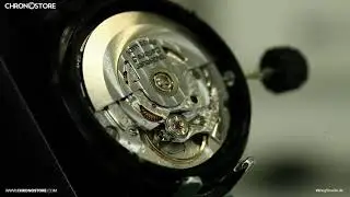 Timegrapher Review | Chronostore | Christian Taylor