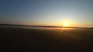 Посадка в кукурузу
