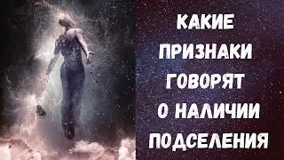 Признаки подселения. Антон Артмид