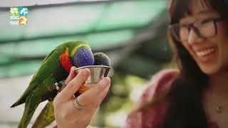 Welcome to Zoo Miami!