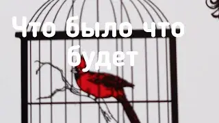 💯‼️Что было,Что сейчас,Что будет ⁉️☘️🧿 онлайн гадание с Ириной....