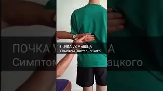 Lower back pain – kidney or muscle? How to tell the difference? 