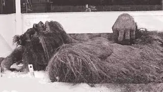10 Historycznych zdjęć które wstrząsnęły światem!