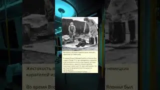 Японская жестокость удивила даже немецких карателей из Освенцима