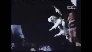 Волкодав кавказа Грузинская горная собака НАГАЗИ / отрывки из фильма Лома забытый друг